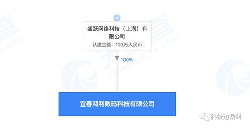 盛躍網(wǎng)絡(luò)布局贛西，宜春科技公司成立開啟區(qū)域業(yè)務(wù)新篇章